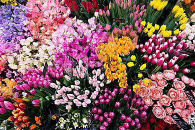 阿尔比恩ol亚服怎么下载？阿尔比恩ol官网亚服注册登录方法